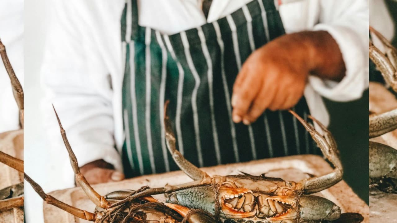 The Bay Area’s Culinary Comeback Amid Fishing Challenges