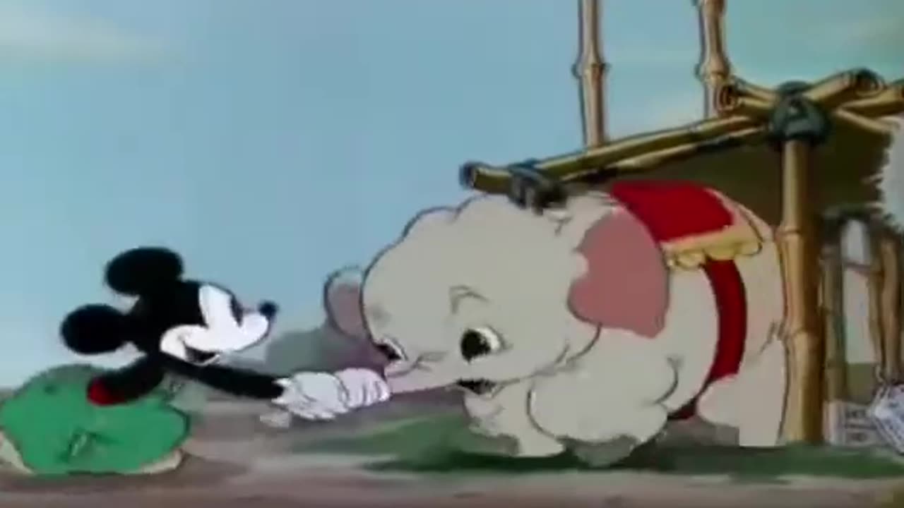Pluto Dog, Donald Duck ,micky mouse cartoons disney pluto full episode