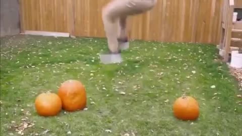 This guy mastered the art 😳of transitions
