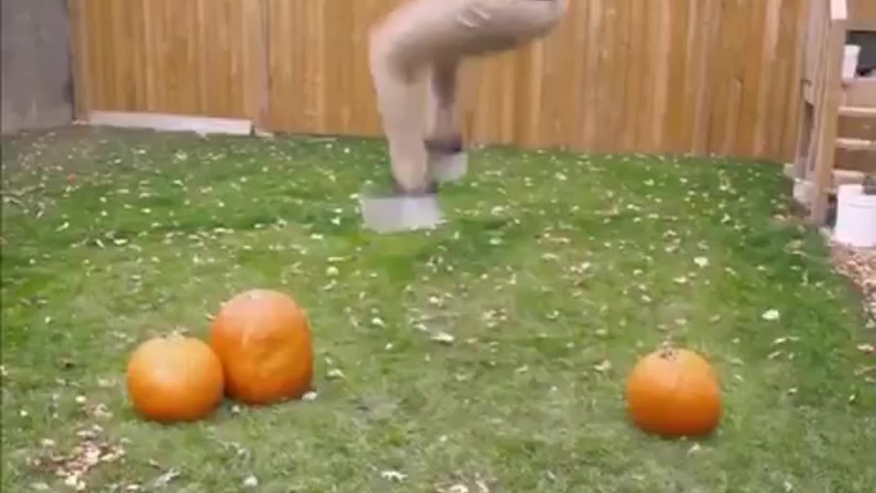 This guy mastered the art 😳of transitions
