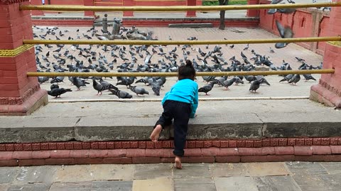 Pashupati nepali