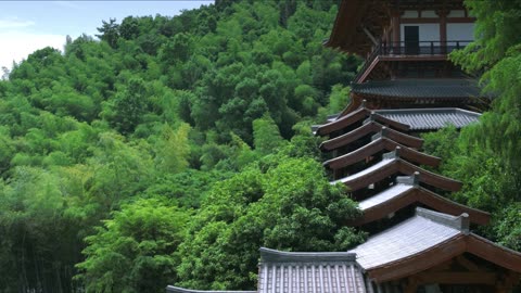 长安的荔枝17