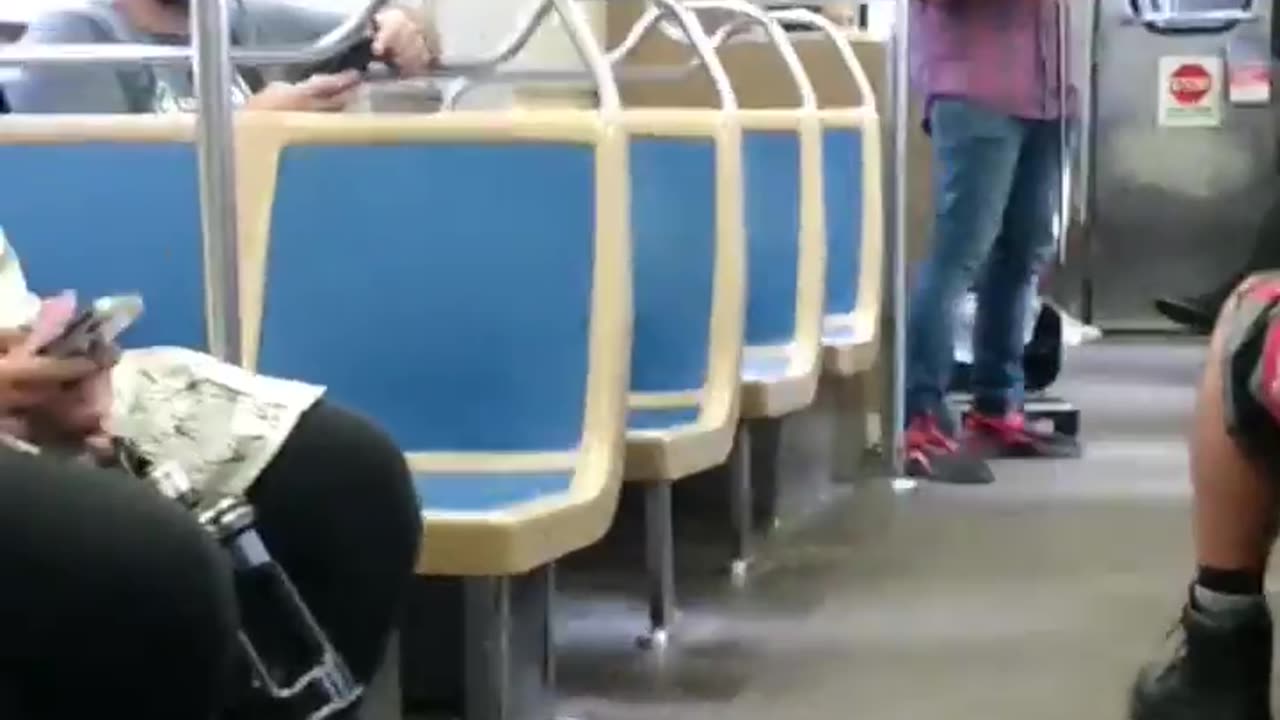 Awesome 👍😎 Violinist on green line train.