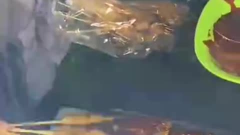 Hal yang harus di terapkan di sekolah dasar