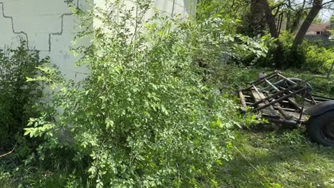 I Came Back 1 YEAR AFTER I MOWED This LAWN FOR FREE and This is WHAT I FOUND_part11