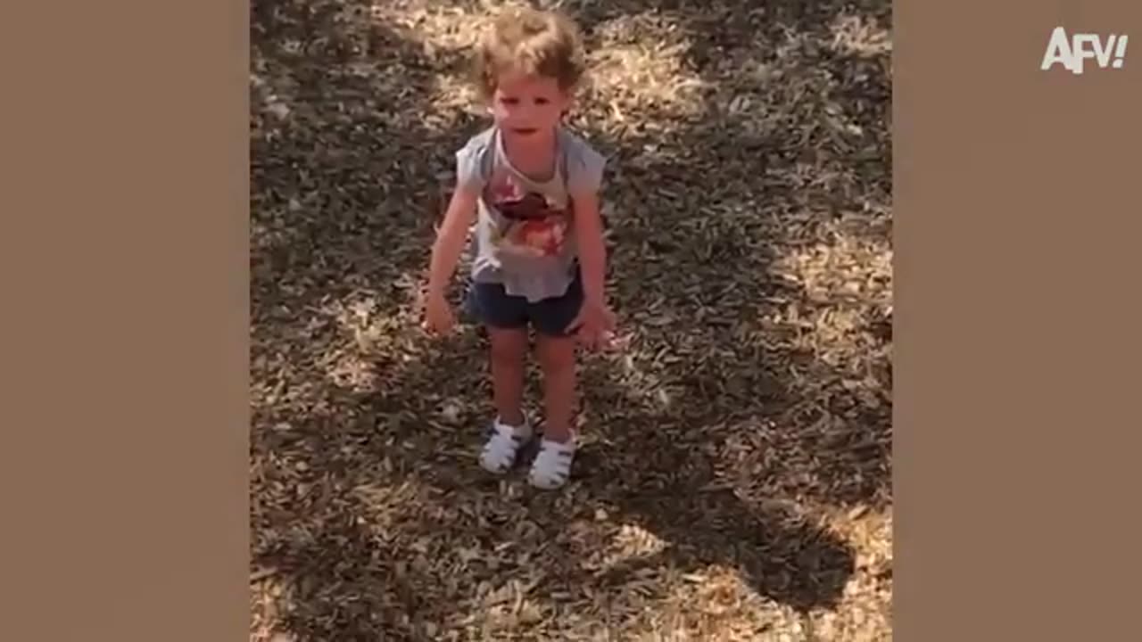 Most funny video in this year