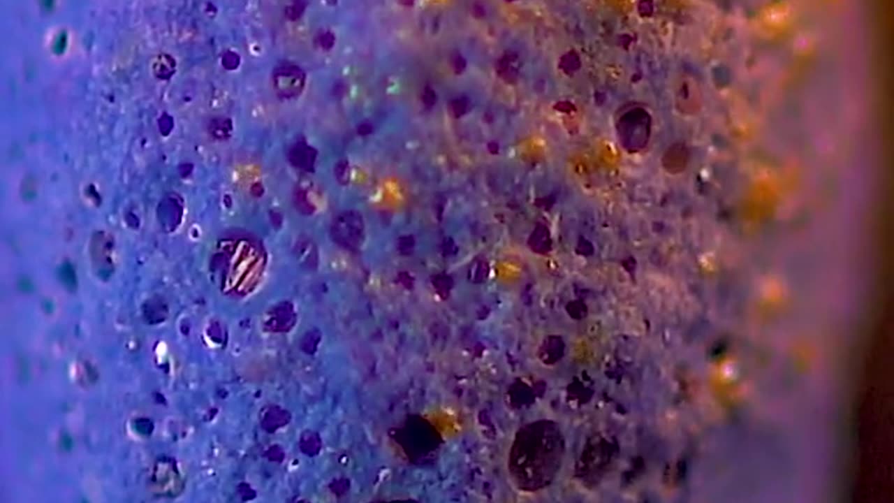 closeup of a fire match
