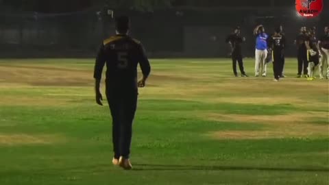 Cricket