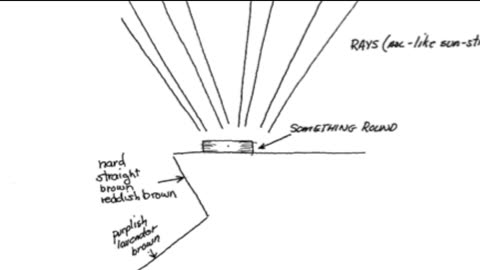 Remote Viewing and Weather Control (CIA Stargate)