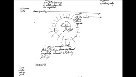 Remote Viewing and Weather Control (CIA Stargate)
