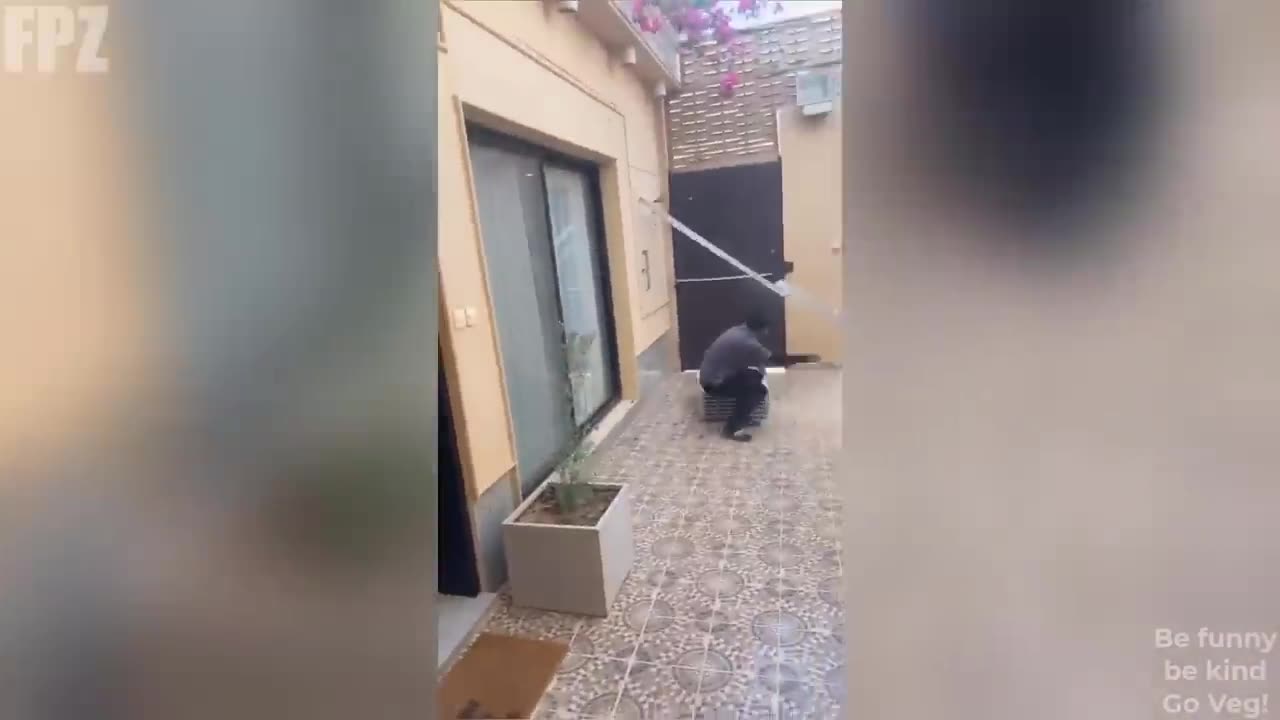 Try not to laugh alone.