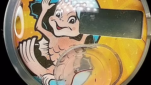 Sea Monkey Aquarium Watch