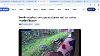 Two ABC articles include four subjects whose names form two Matt Haydens! Can you bear it?