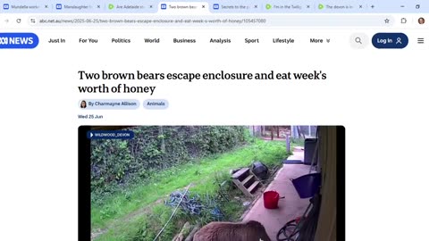 Two ABC articles include four subjects whose names form two Matt Haydens! Can you bear it?