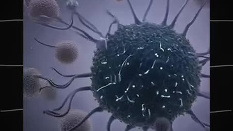This is what happens when you fast - Dr. Mindy Pelz | Autophagy