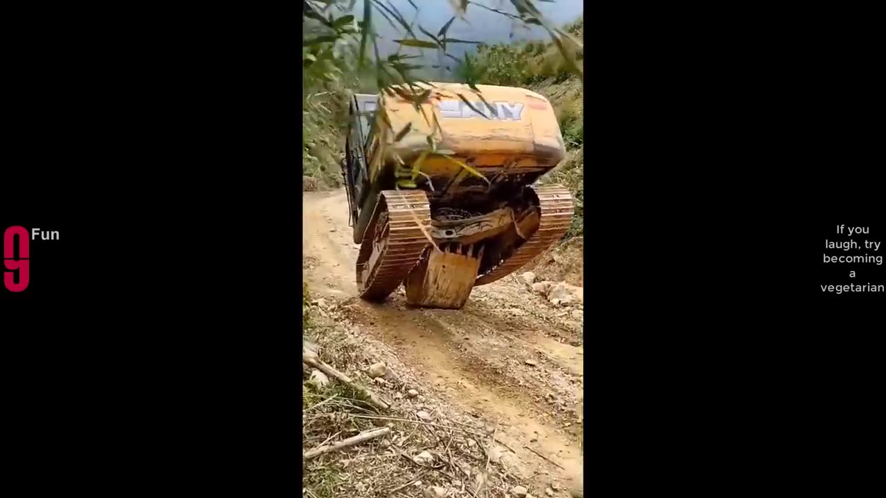 Best funny meme