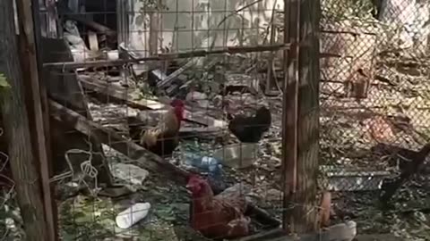 🏠💥 Ukraine Russia War | Kramatorsk Residents Recount Shelling Destruction | RCF