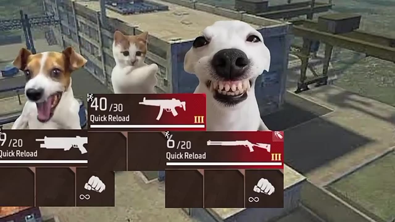 Free fire meems