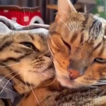 Good morning! I wish you a good working day!