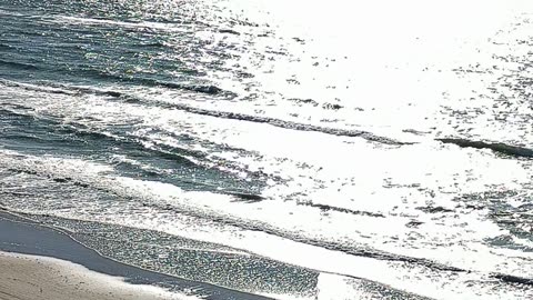 NORTH SEA SHORE IN DENMARK