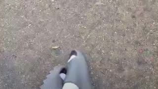 Shakie gonna read Ebb and Brandon after they didn’t keep their word