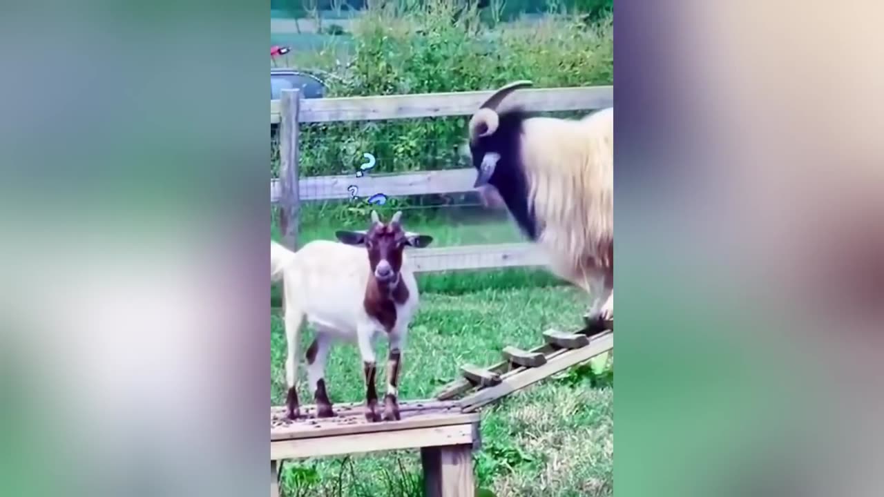 Epic Fails & Trending Moments 2025
