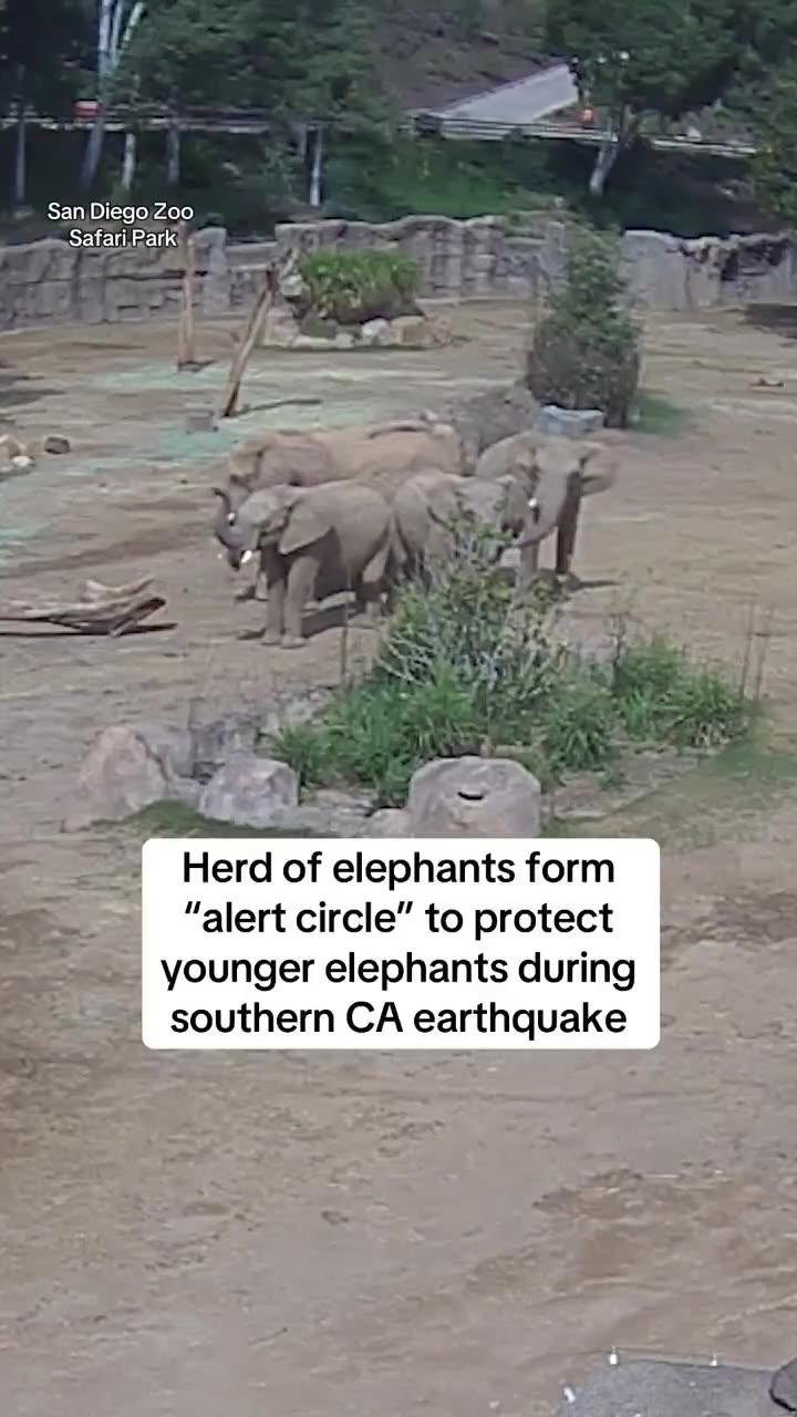 earthquake Monday morning