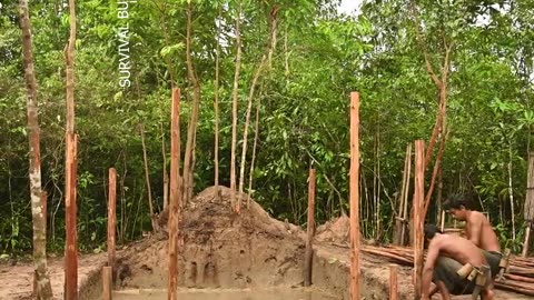 Two men are building a cute little house in the woods