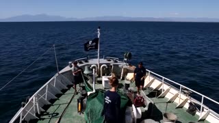 The crew on the hunt for Greece's illegal octopus traps