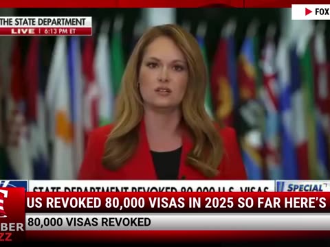 US Revoked 80,000 Visas In 2025 So Far Here’s Why