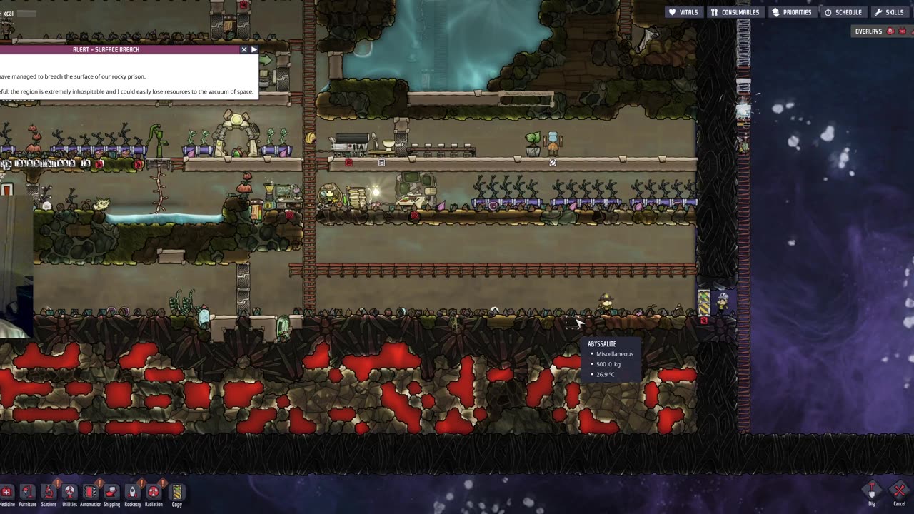 Playing Minecraft on my private server