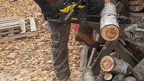 Chainsaw Log Cutting_ Watch This Satisfying Lumberjack Action! #livingoffgrid