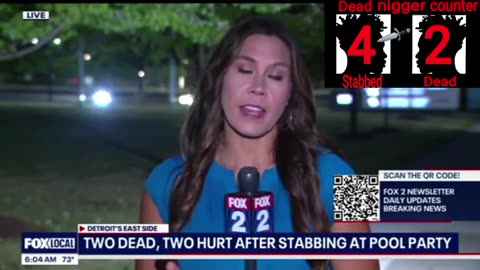 Mass stabbing at Detroit pool party
