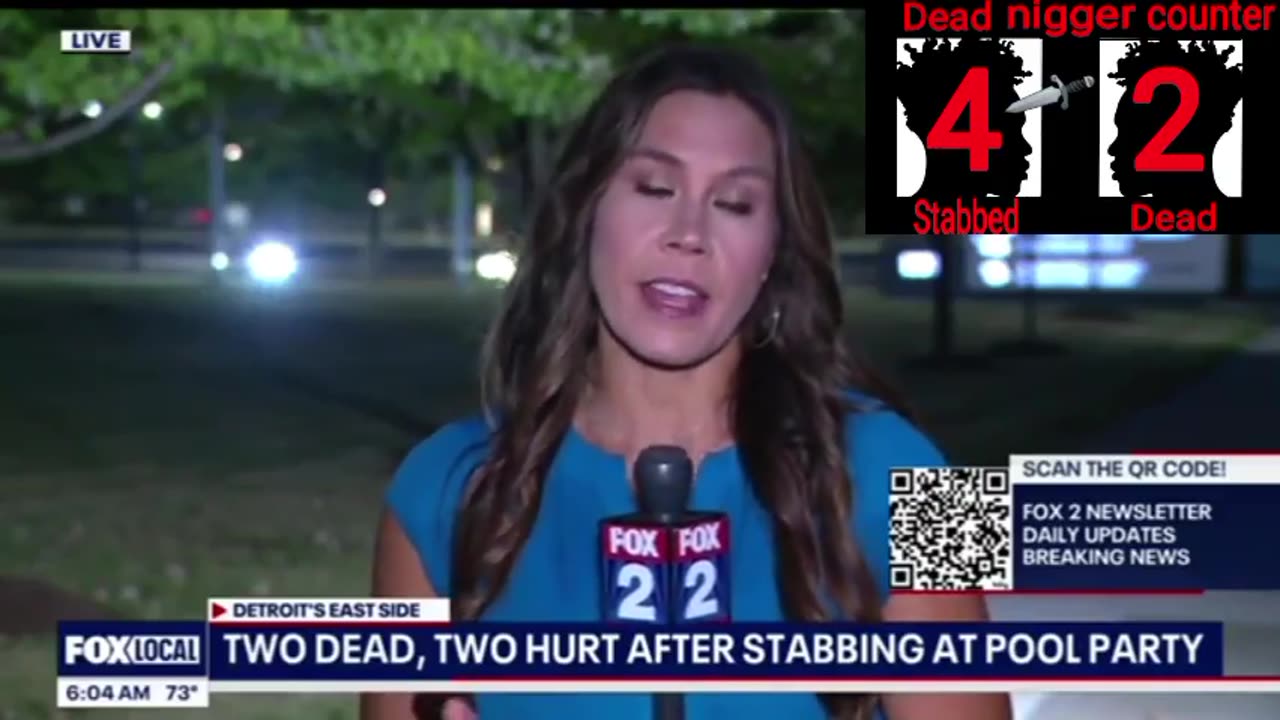 Mass stabbing at Detroit pool party