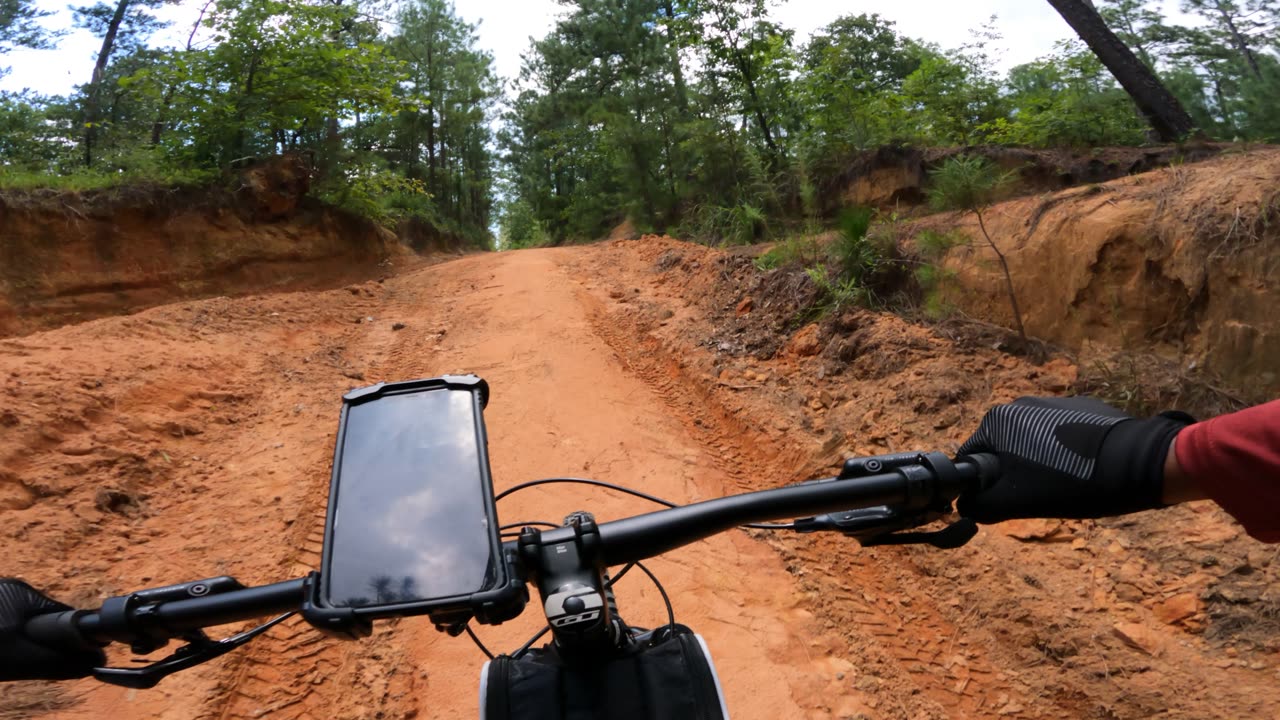 From The Road