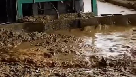 Clean Cows, Quality Milk