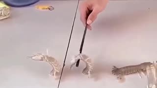 These shrimp can dance better than most of us!.hd