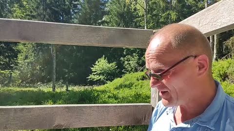 Dreihundert wichtige Veränderungen im Text des Neuen Testamentes - Teil 1