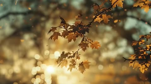 Tired of harsh screens? Soft, golden autumn Zoom backgrounds to calm your calls – 75% OFF