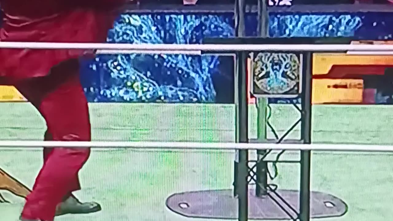 NXT;683,000 Viewers, AEW Dynamite:659,000 Viewers