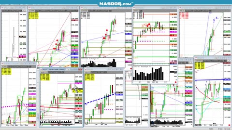 Feeders Cattle Hogs pre USDA in grains May9