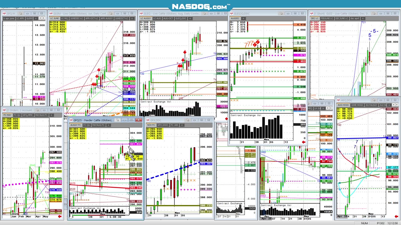 Feeders Cattle Hogs pre USDA in grains May9