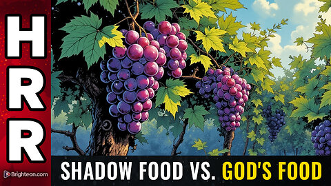 SHADOW FOOD vs. God's food