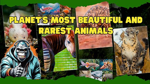 Planet's most beautiful and Rarest Animals!