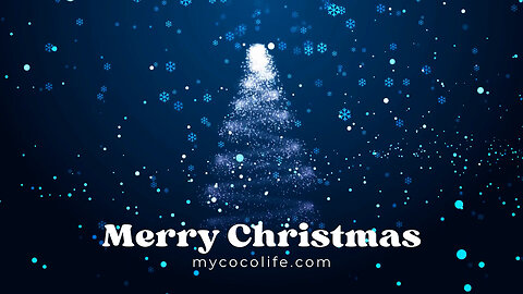 🎄Merry Christmas🎄