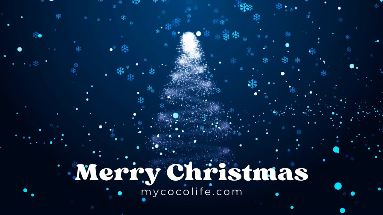 🎄Merry Christmas🎄