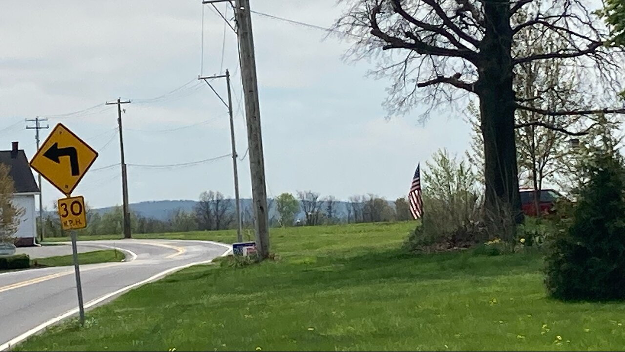 Tuesday Afternoon Livestream!