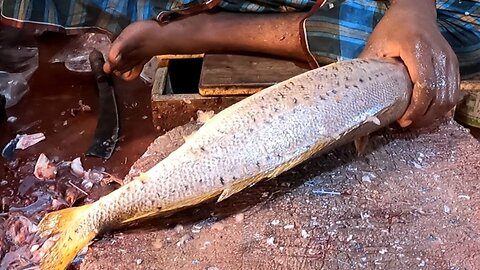 Amazing Fish cutting skill 02| you must watch