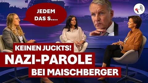 Maischberger-Eklat: Dröges Nazi-Parole, ZDF-Schwachsinn & NDR-Aus für Julia Ruhs | Daniel Matissek