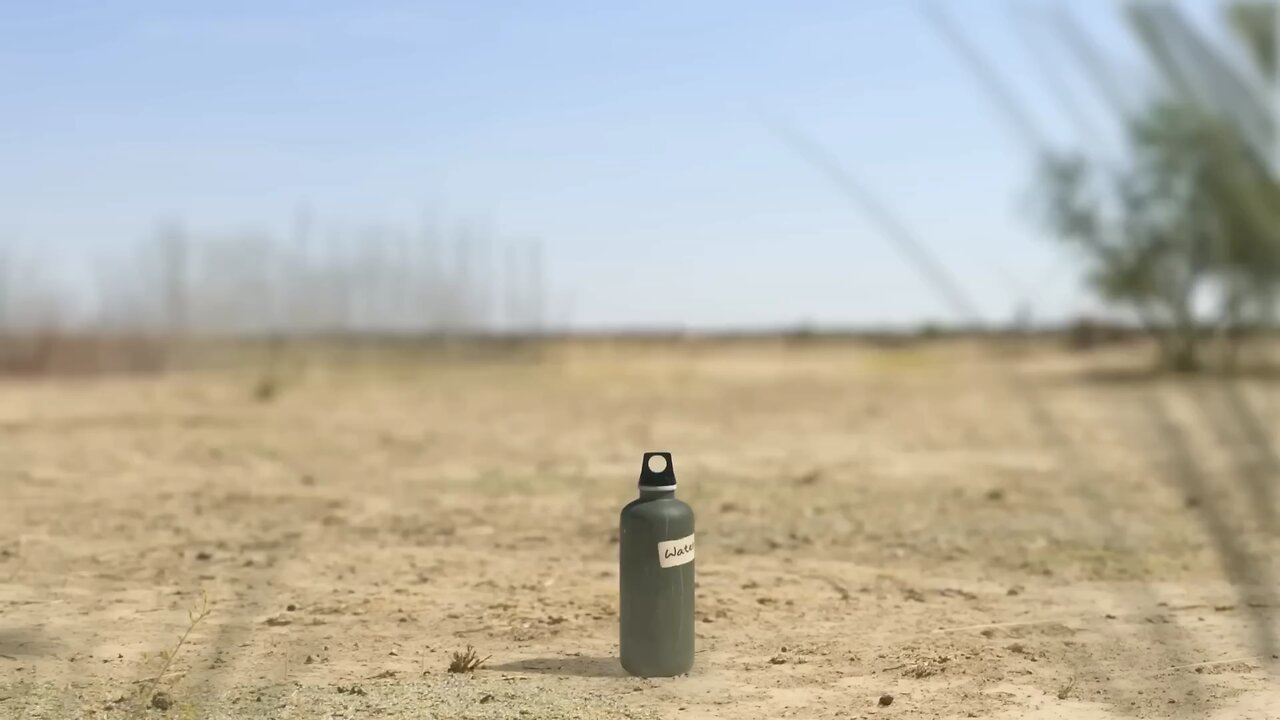Giraffe Vs Elephant Fight for a Water